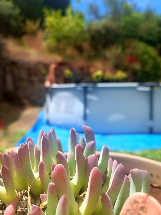 Villa La Casita De La Esperanza La Esperanza  Esterno foto